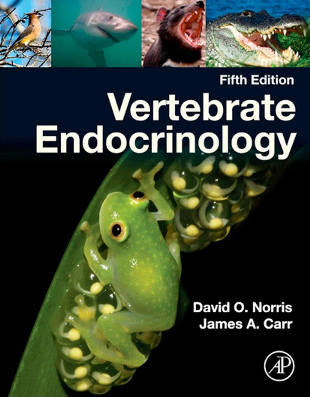 Big bigCover of Vertebrate Endocrinology