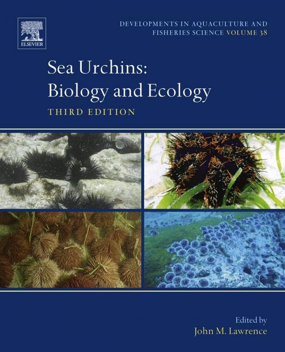 Big bigCover of Sea Urchins