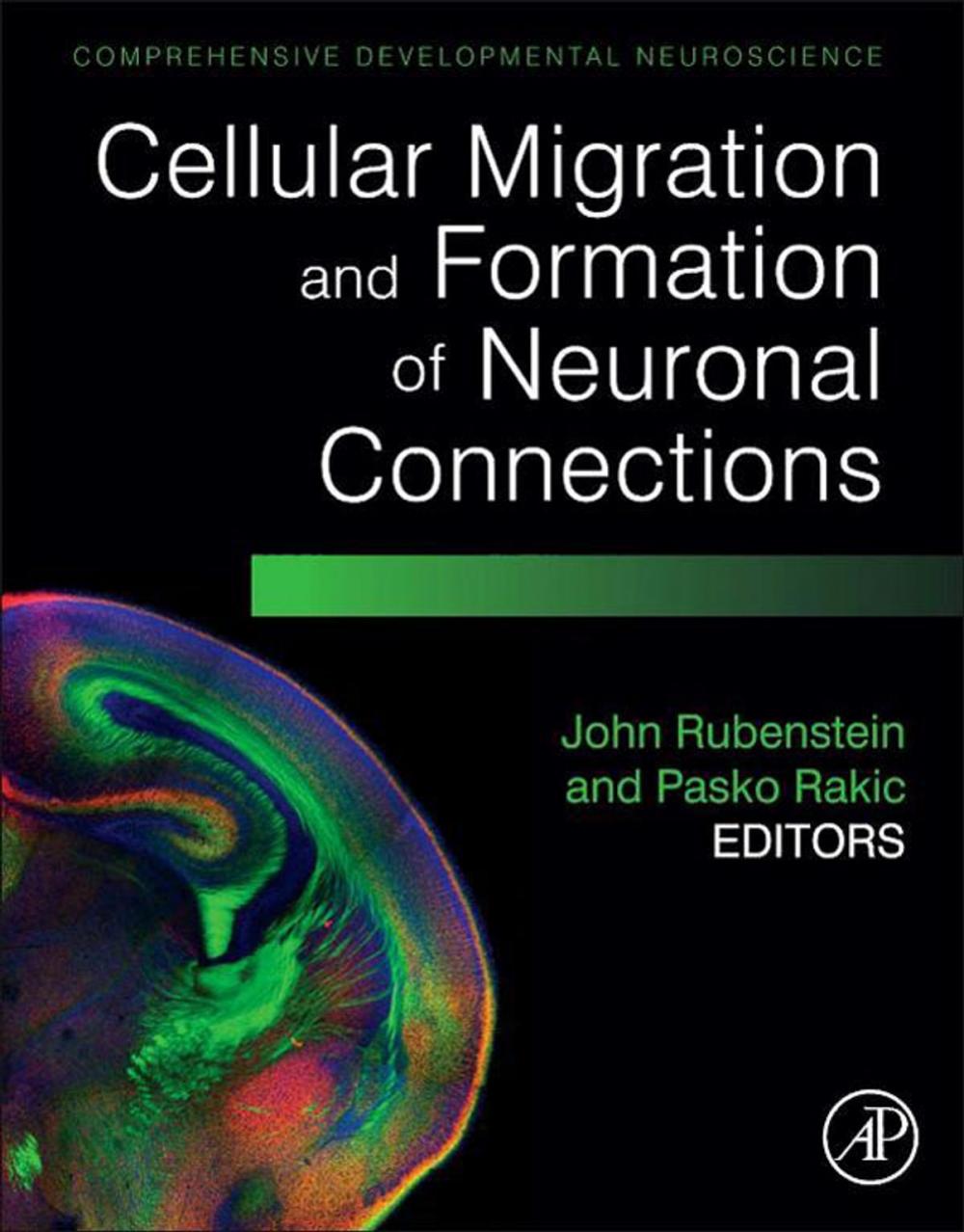 Big bigCover of Cellular Migration and Formation of Neuronal Connections