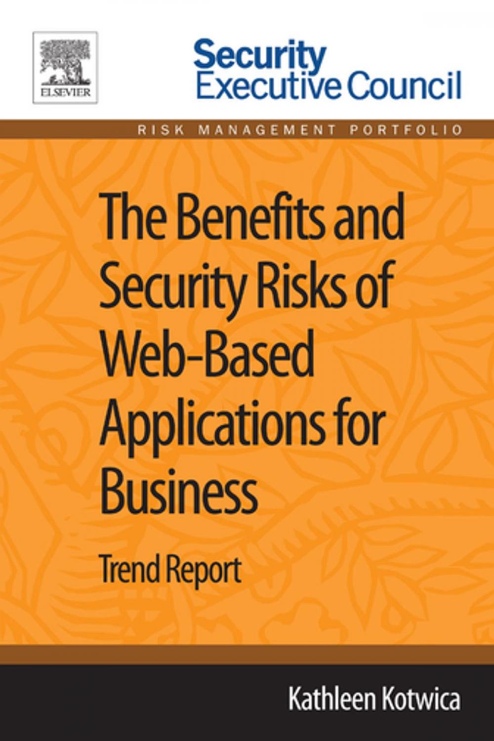 Big bigCover of The Benefits and Security Risks of Web-Based Applications for Business