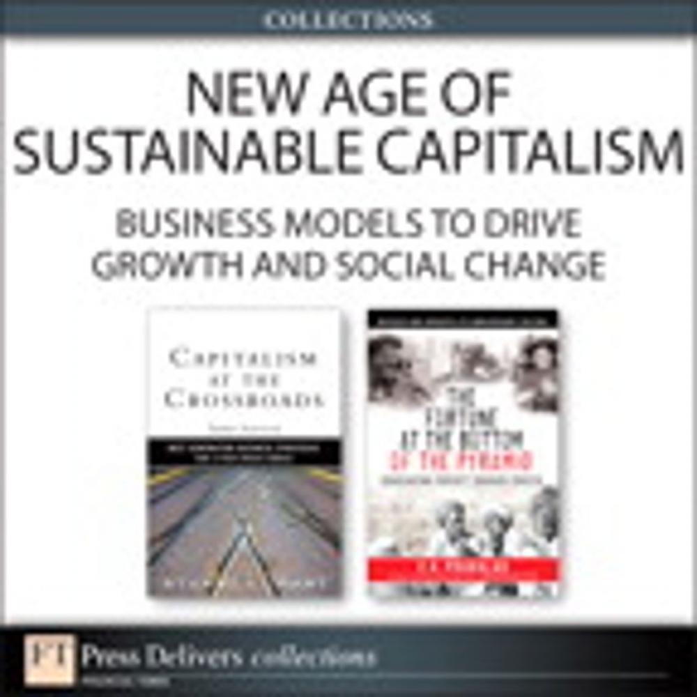 Big bigCover of New Age of Sustainable Capitalism