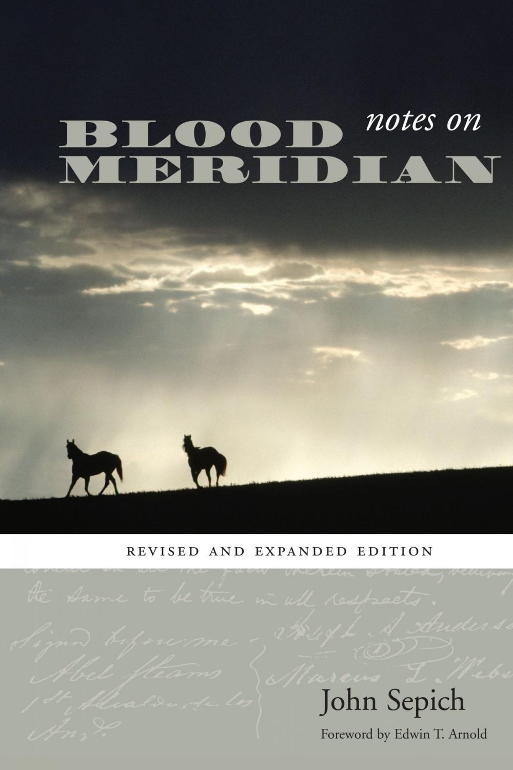 Big bigCover of Notes on Blood Meridian