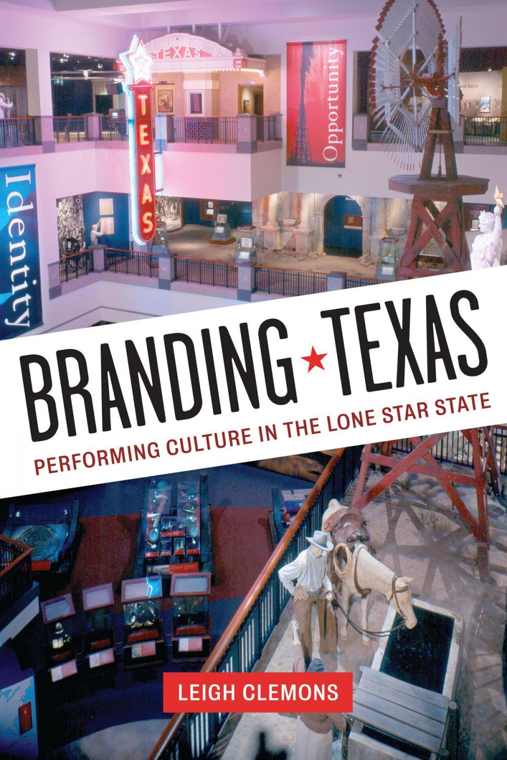 Big bigCover of Branding Texas