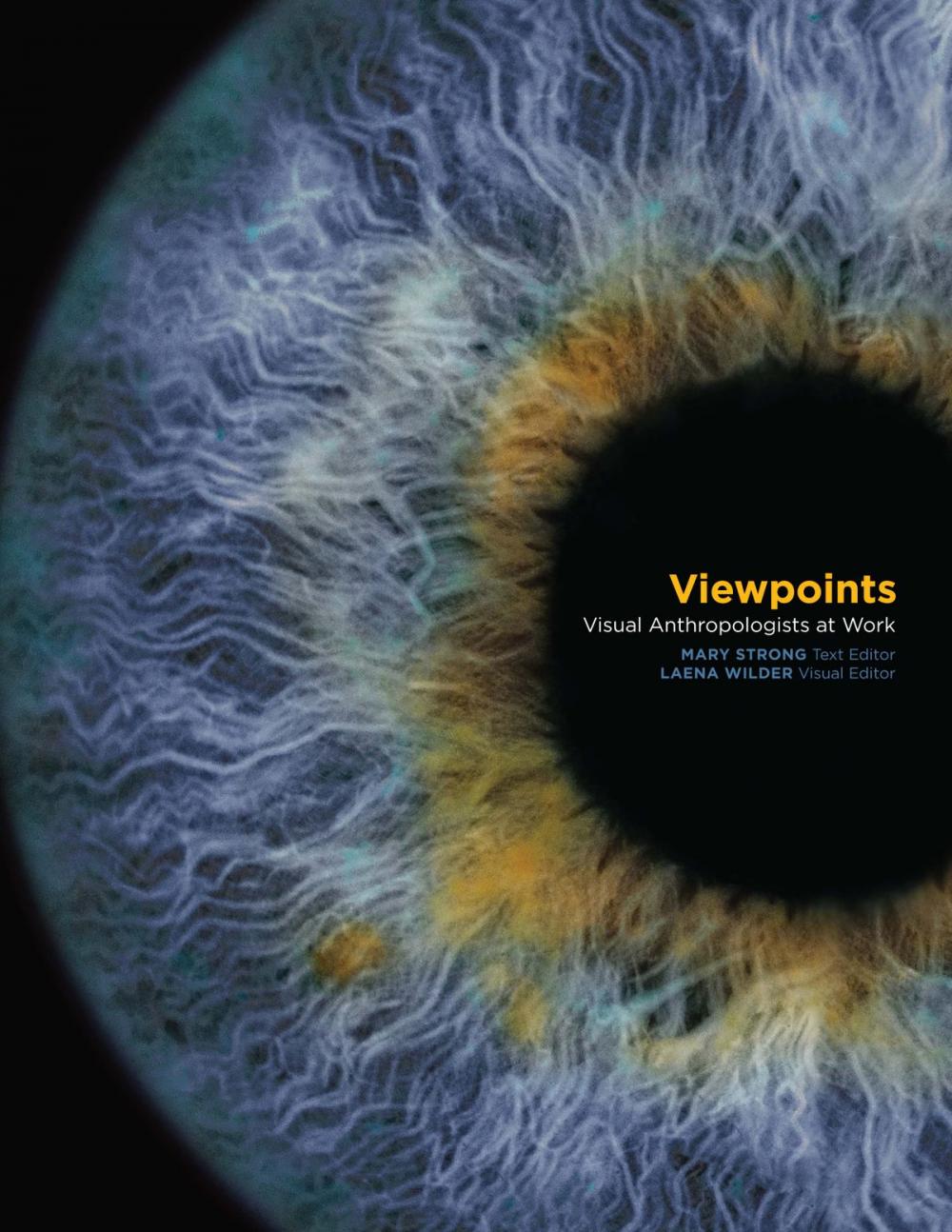 Big bigCover of Viewpoints