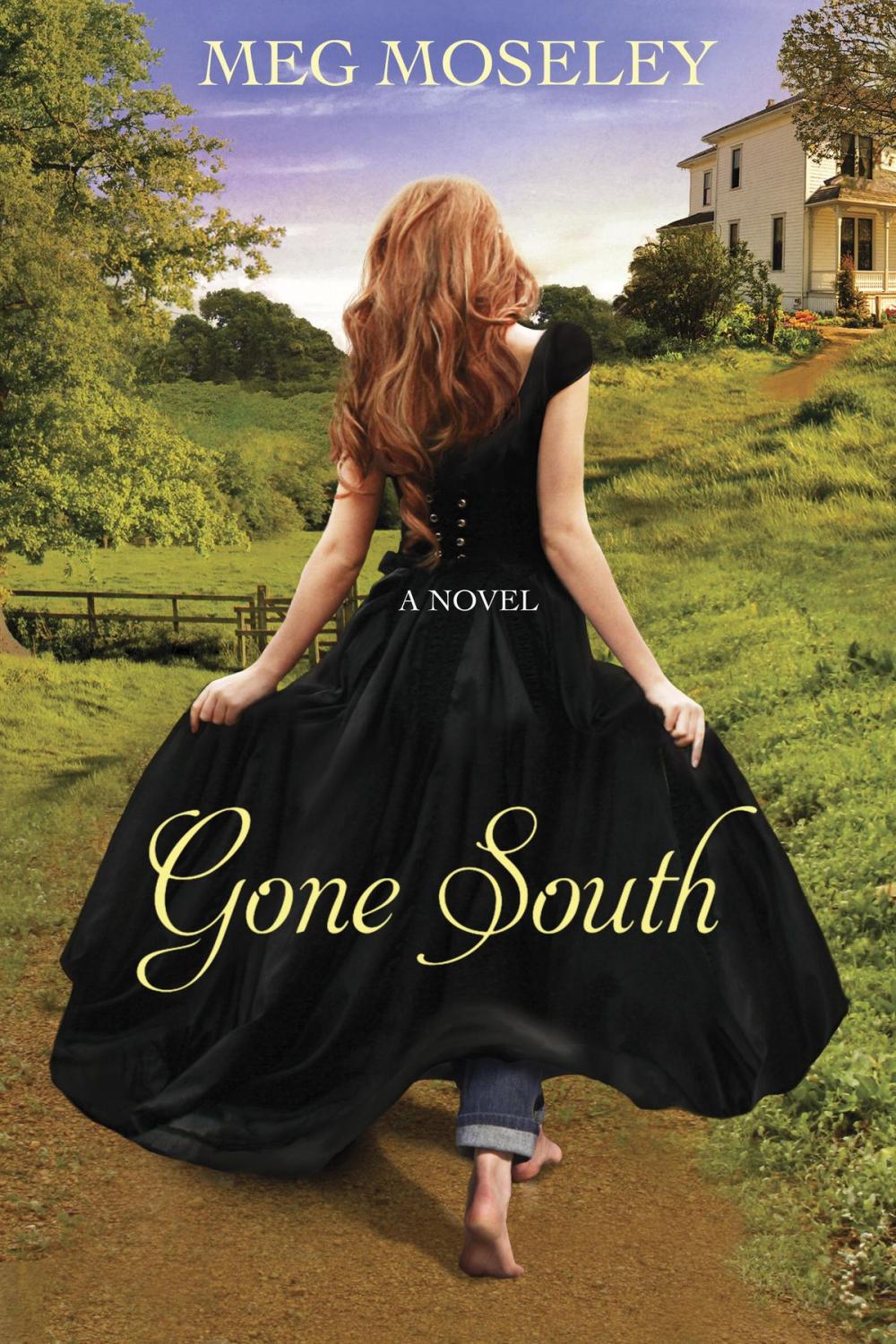 Big bigCover of Gone South