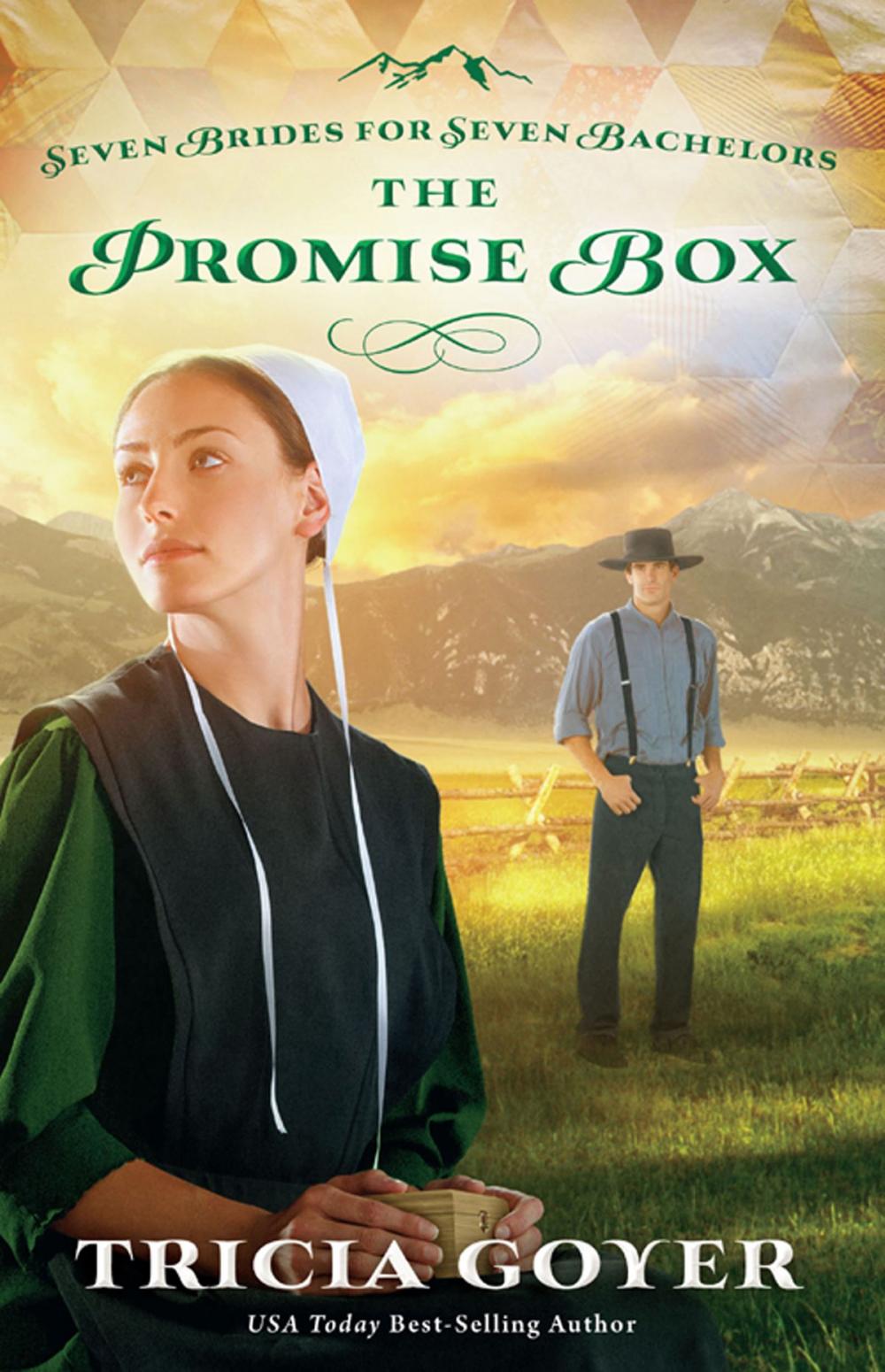 Big bigCover of The Promise Box