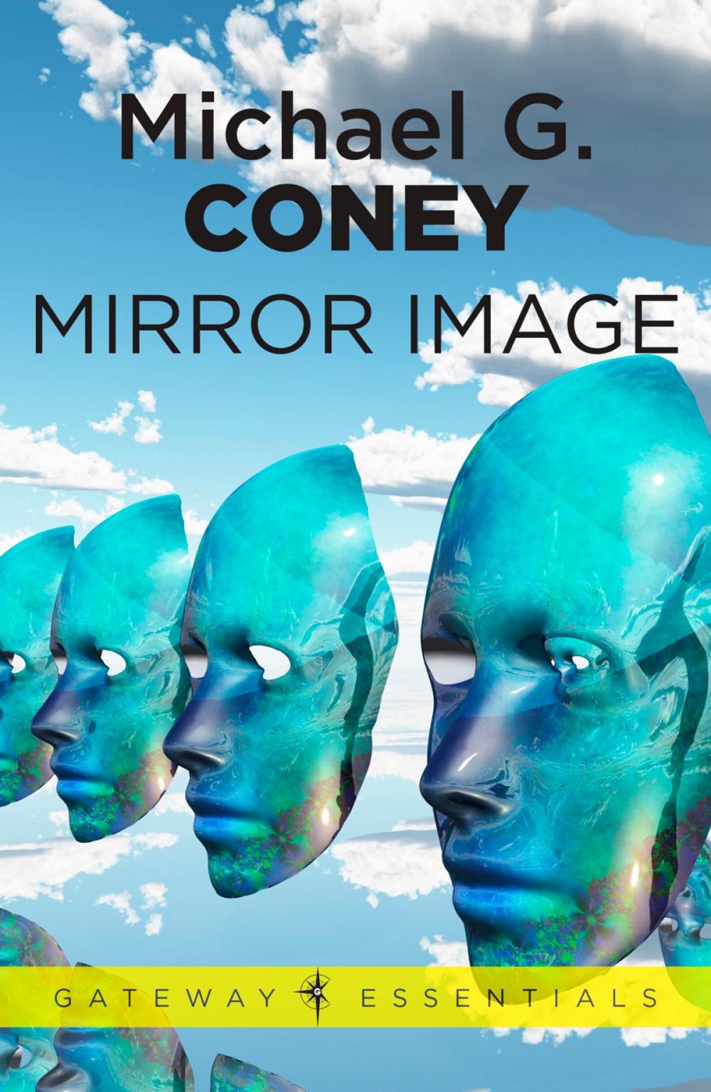 Big bigCover of Mirror Image