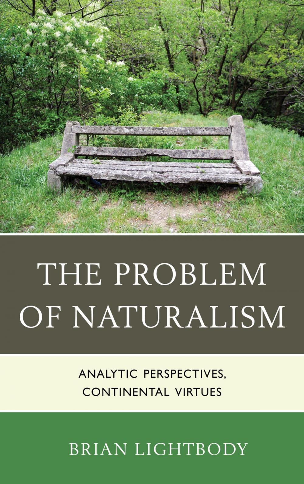 Big bigCover of The Problem of Naturalism