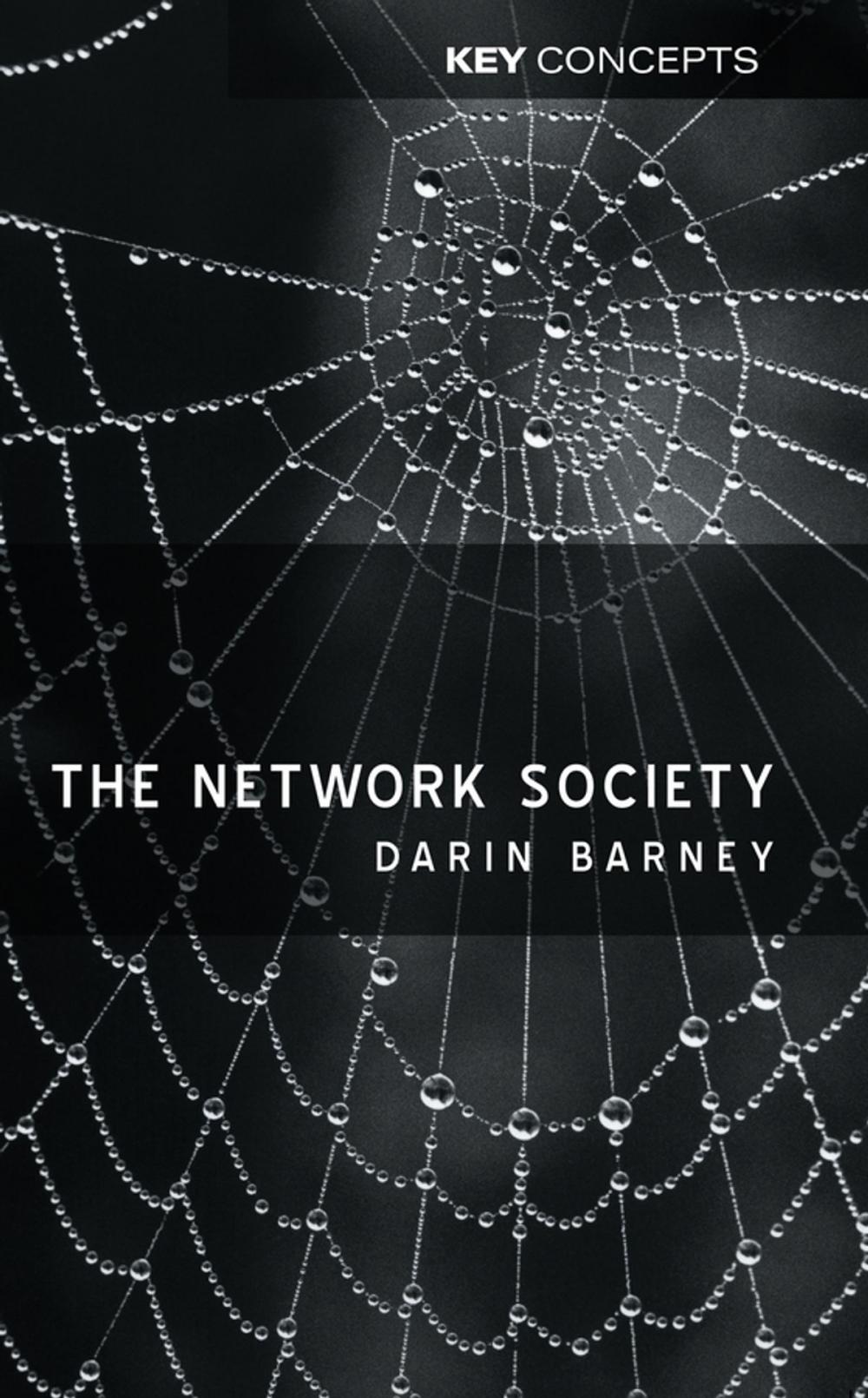 Big bigCover of The Network Society