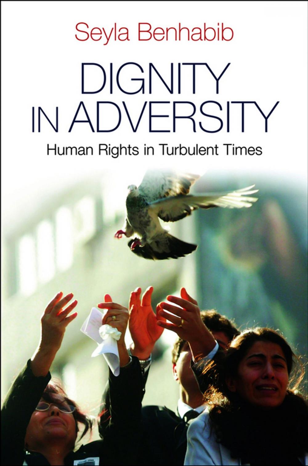 Big bigCover of Dignity in Adversity