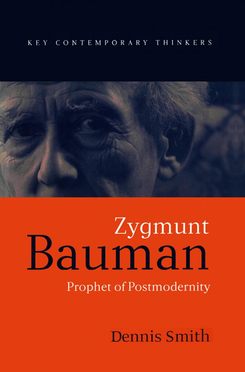 Big bigCover of Zygmunt Bauman