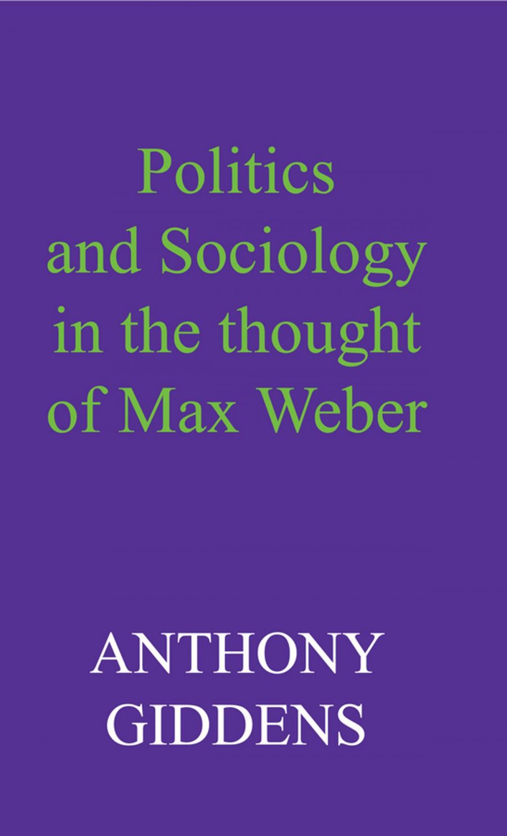 Big bigCover of Politics and Sociology in the Thought of Max Weber