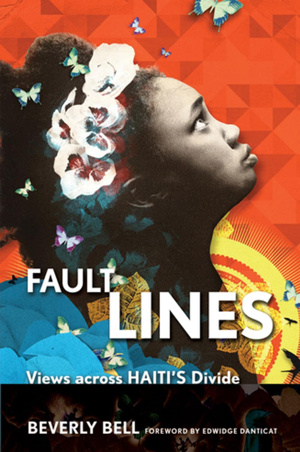 Big bigCover of Fault Lines