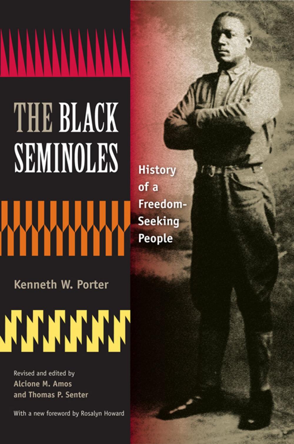 Big bigCover of The Black Seminoles