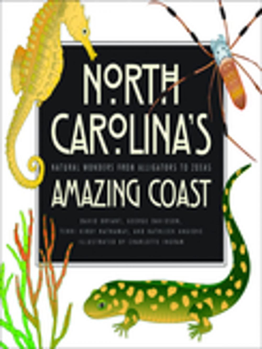 Big bigCover of North Carolina's Amazing Coast