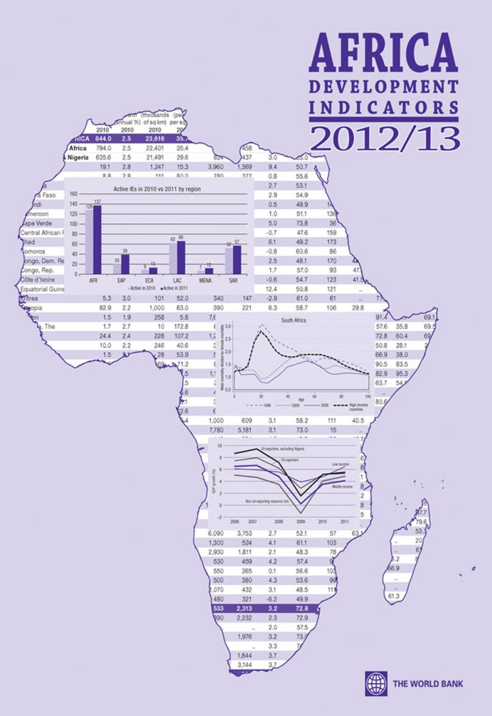 Big bigCover of Africa Development Indicators 2012/2013