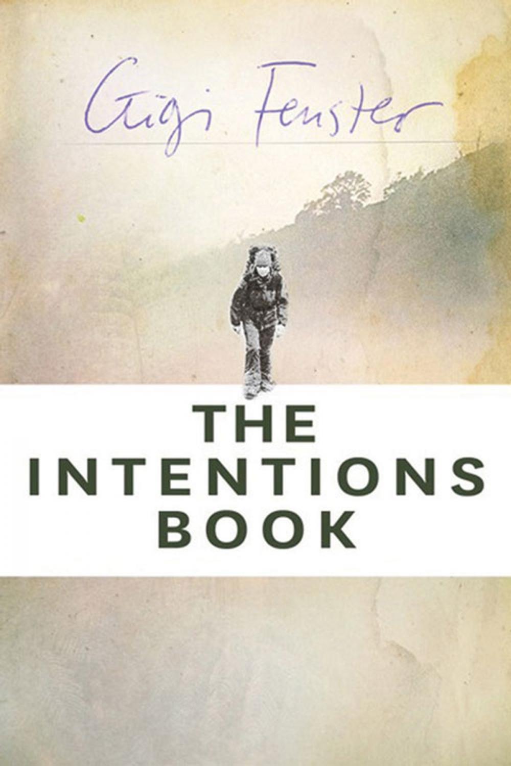 Big bigCover of The Intentions Book