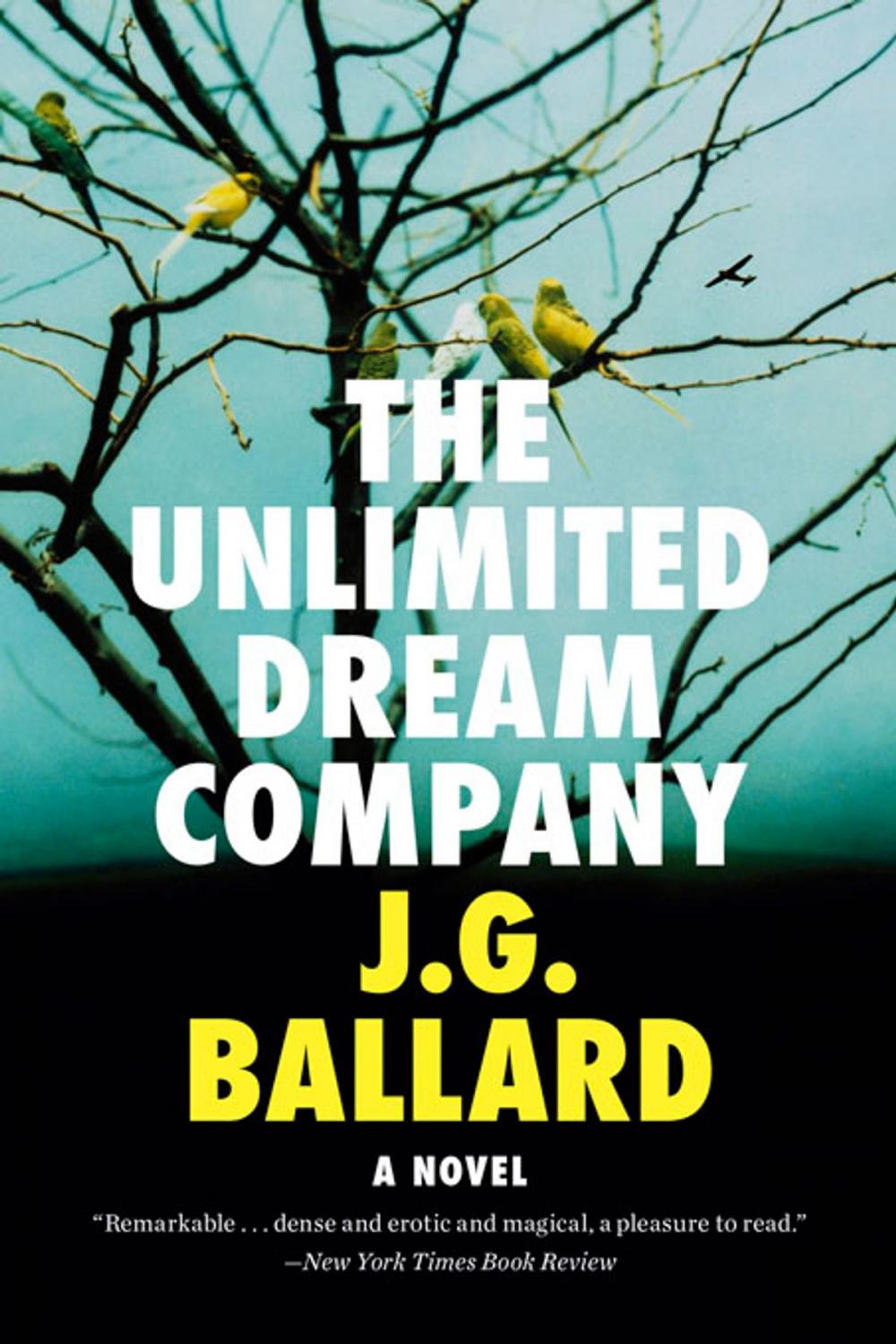 Big bigCover of The Unlimited Dream Company: A Novel