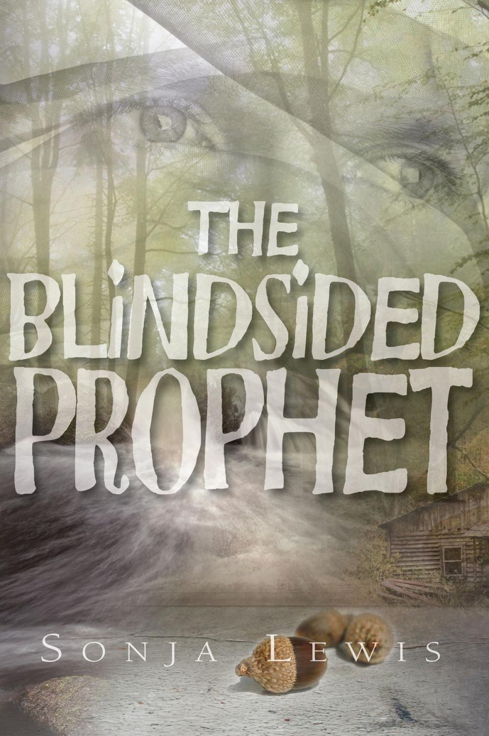 Big bigCover of The Blindsided Prophet