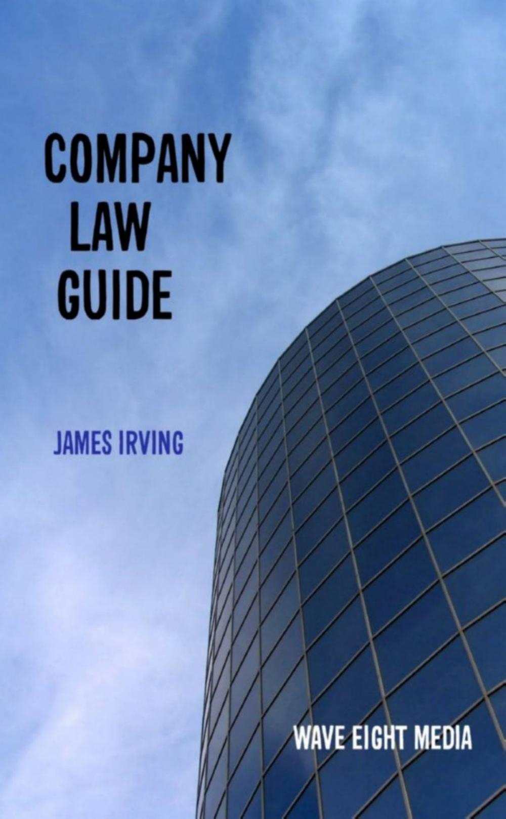 Big bigCover of Company Law Guide