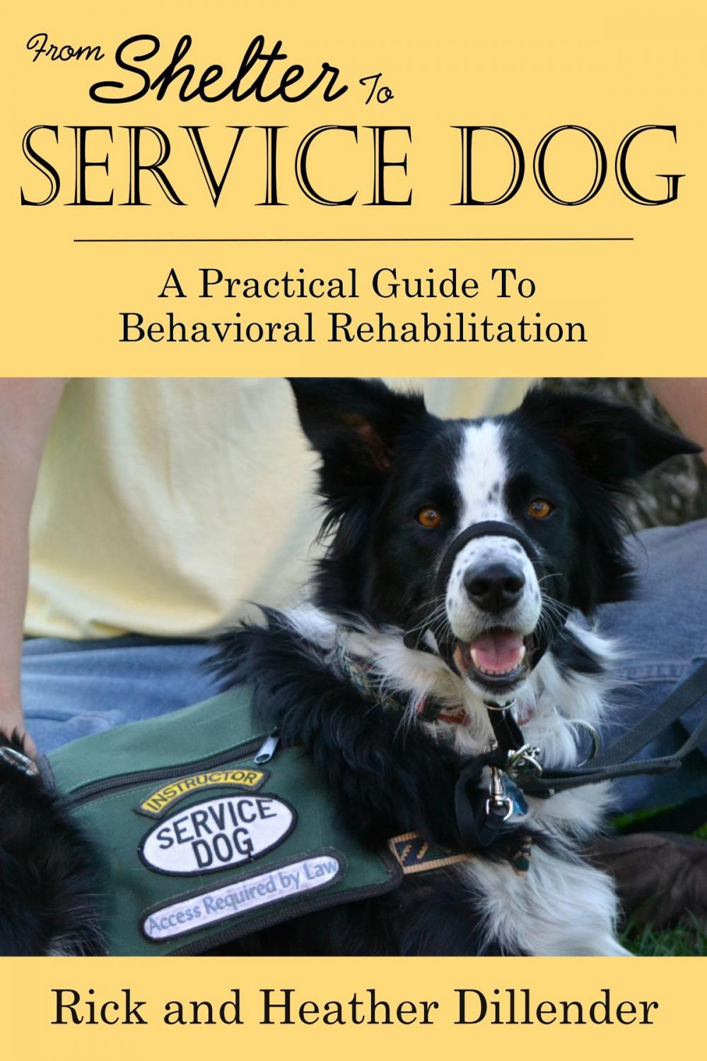 Big bigCover of From Shelter To Service Dog: A Practical Guide To Behavioral Rehabilitation