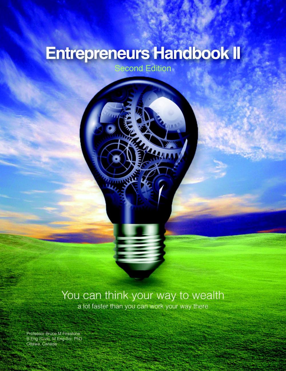 Big bigCover of The Entrepreneurs Handbook II