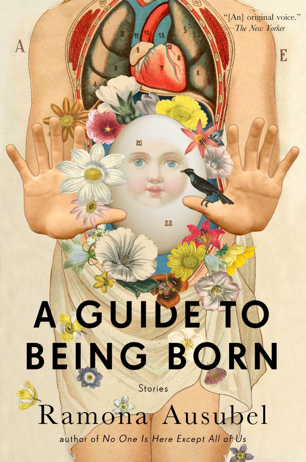 Big bigCover of A Guide to Being Born