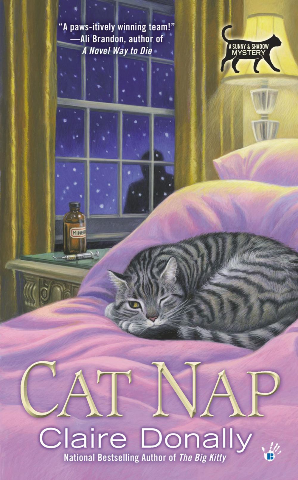 Big bigCover of Cat Nap