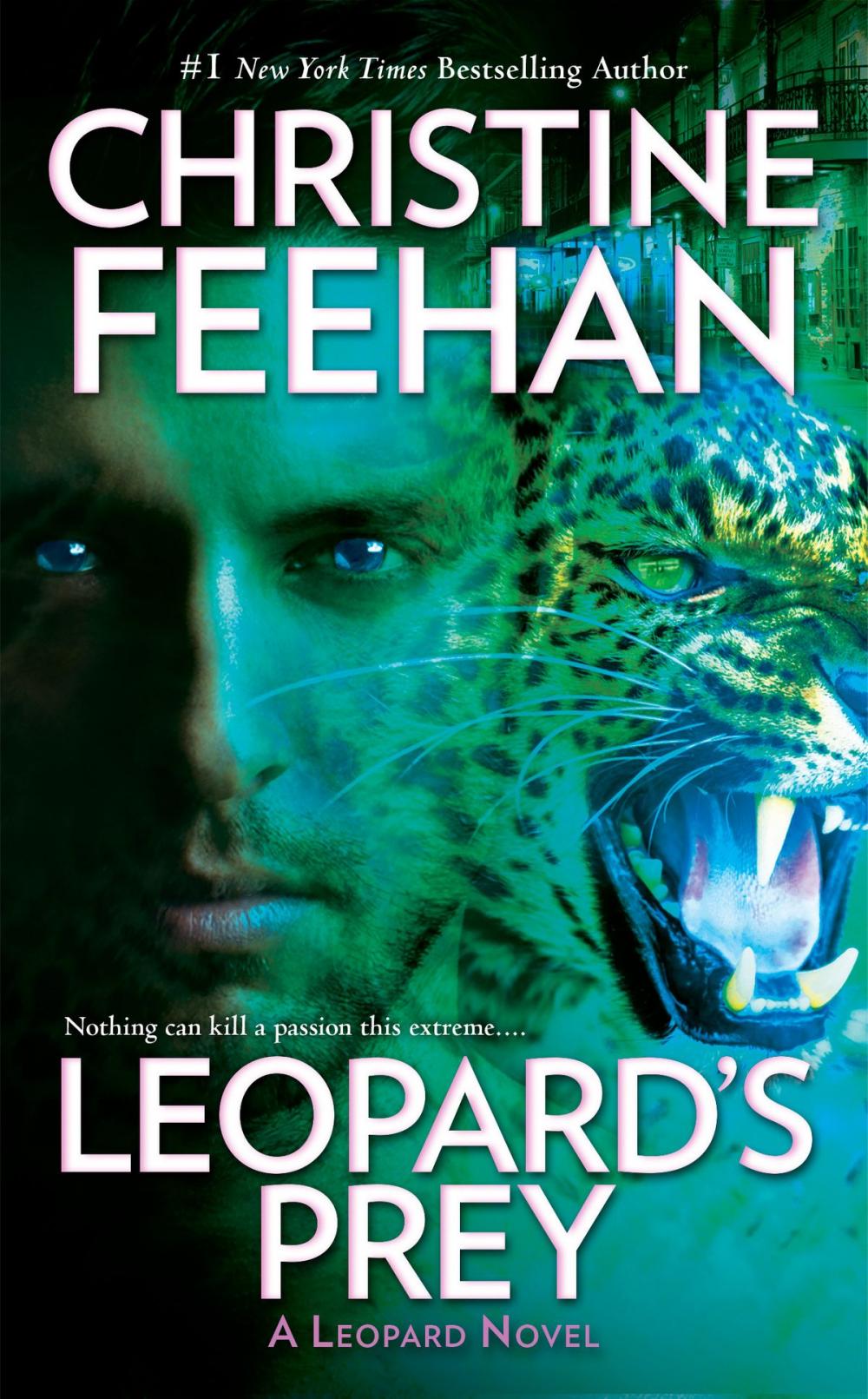 Big bigCover of Leopard's Prey