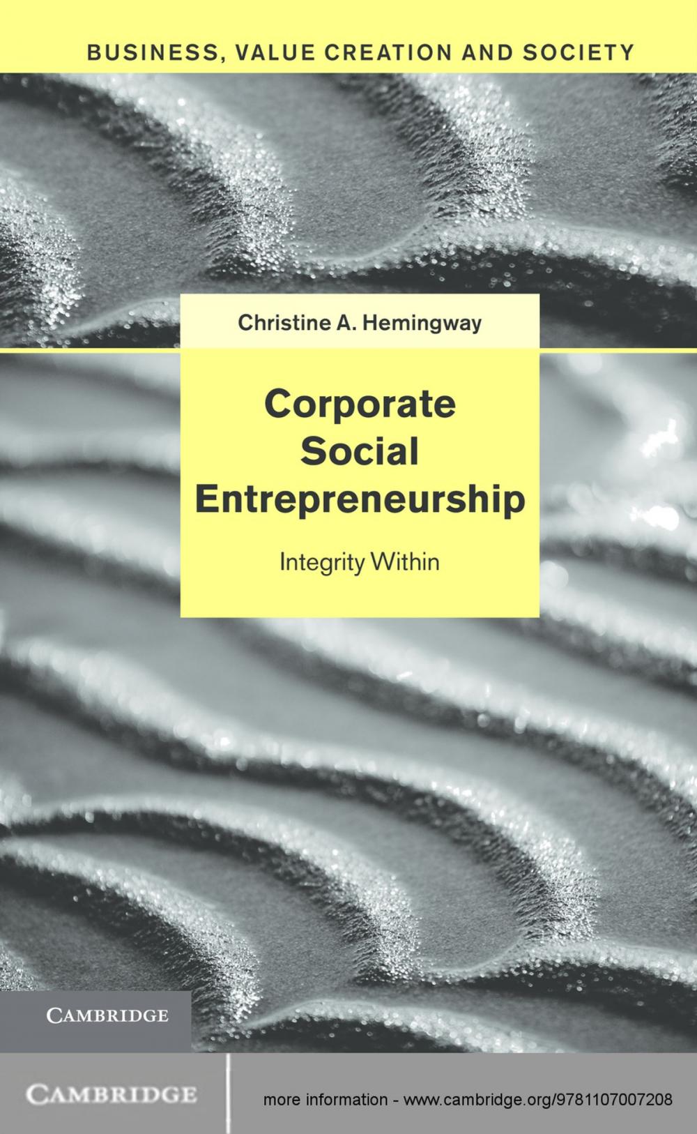 Big bigCover of Corporate Social Entrepreneurship