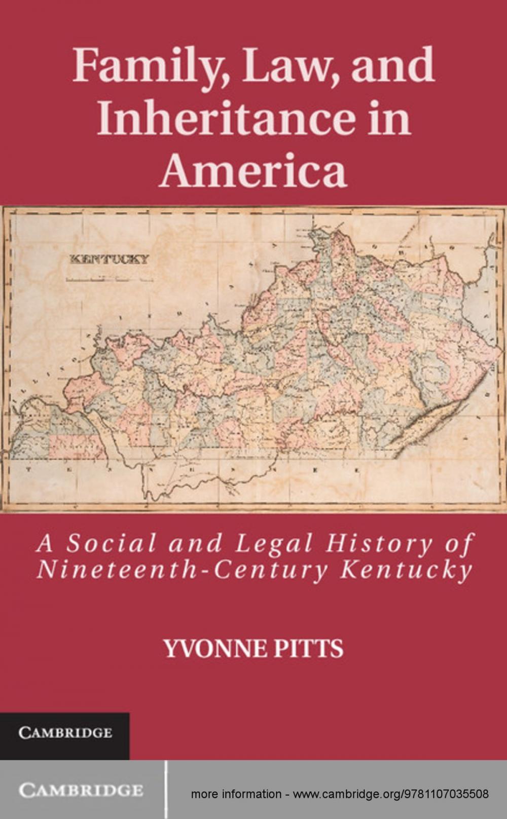 Big bigCover of Family, Law, and Inheritance in America