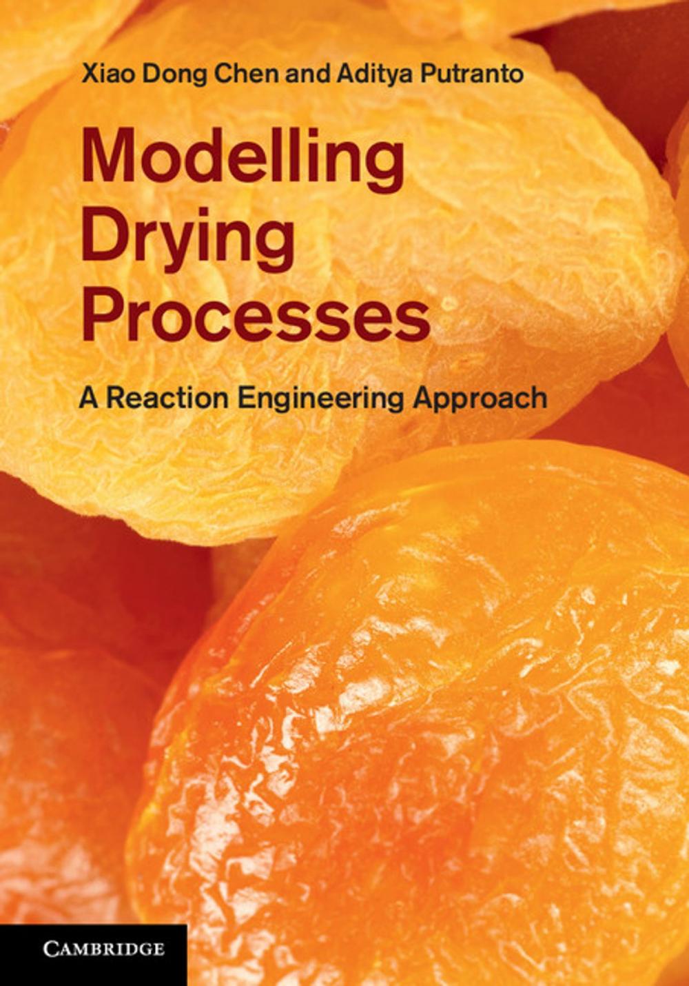 Big bigCover of Modelling Drying Processes