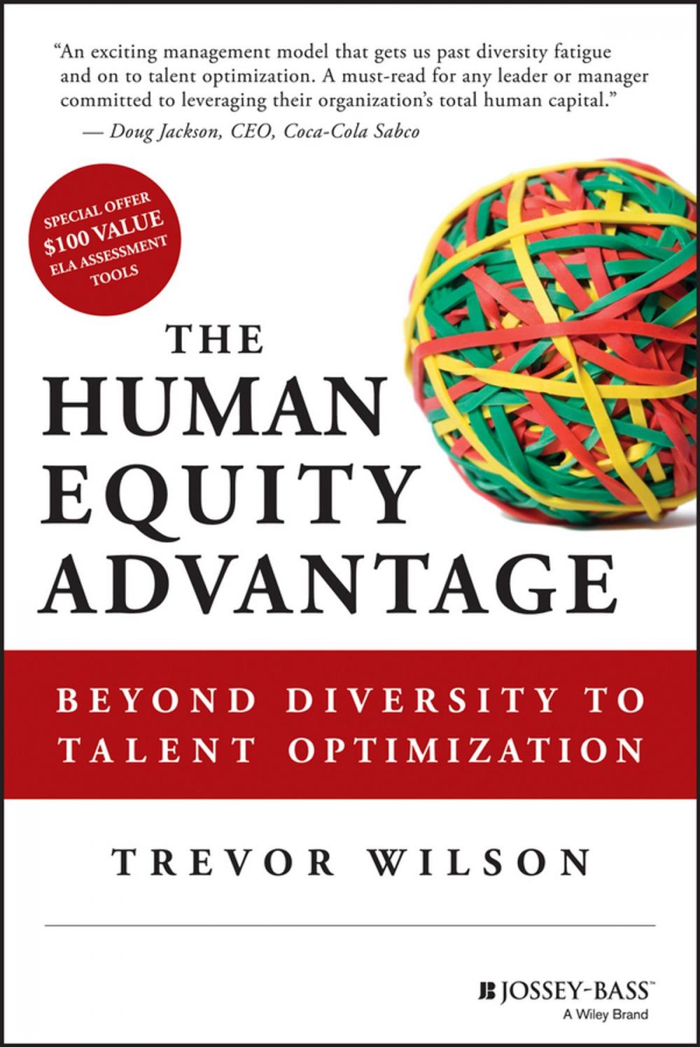 Big bigCover of The Human Equity Advantage