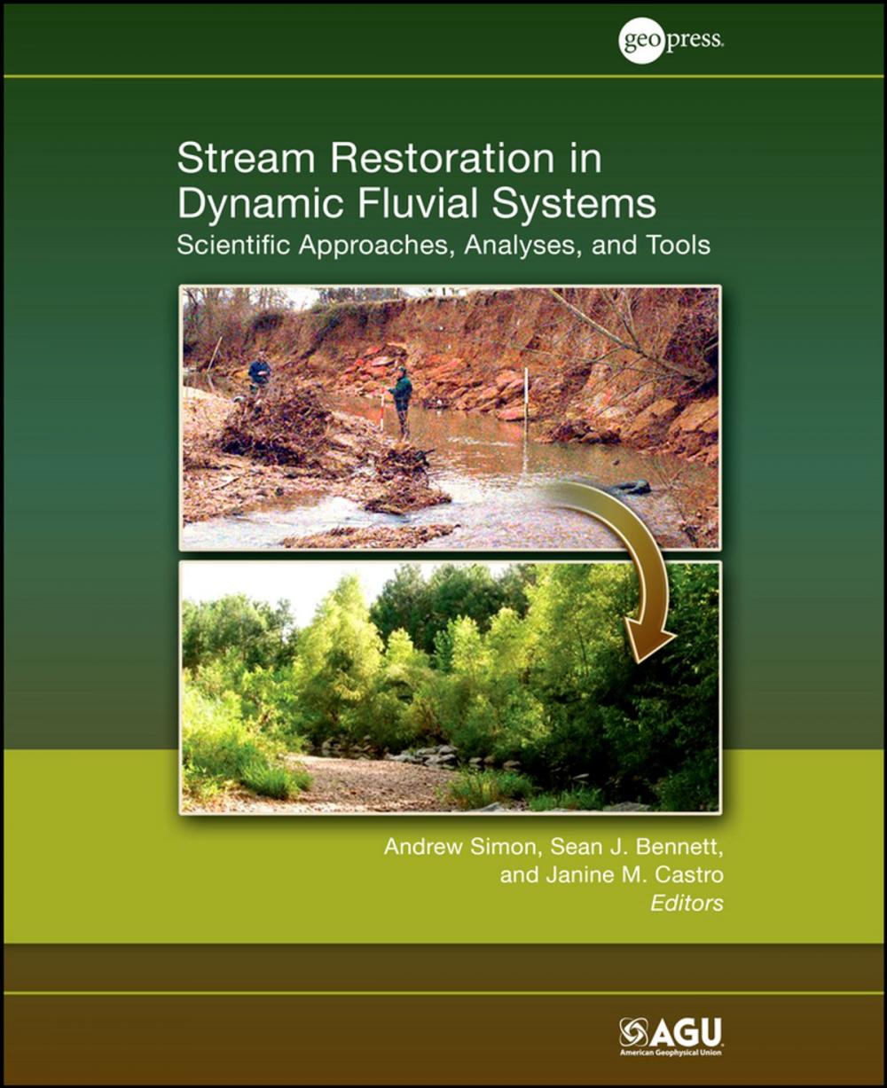 Big bigCover of Stream Restoration in Dynamic Fluvial Systems