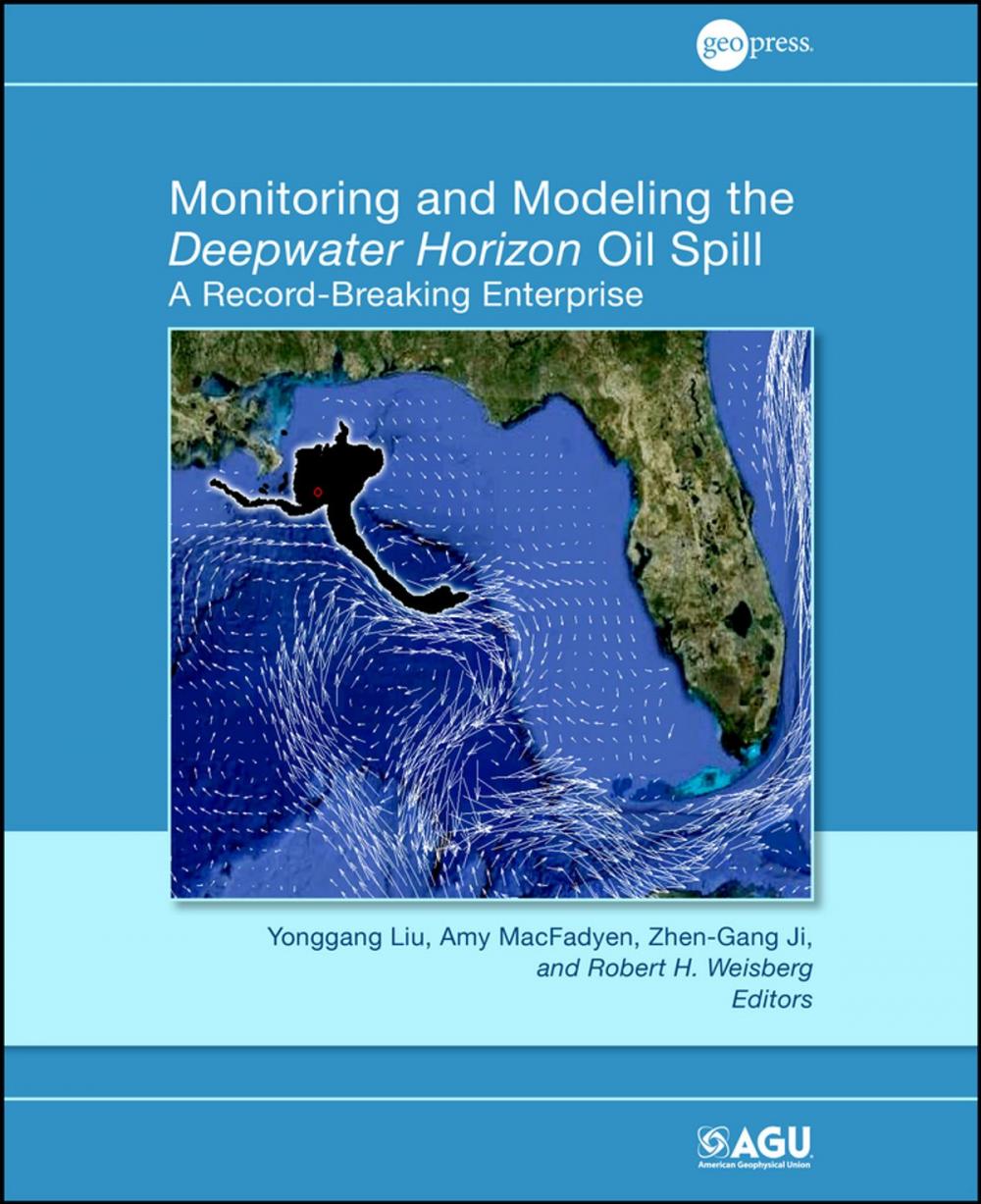 Big bigCover of Monitoring and Modeling the Deepwater Horizon Oil Spill