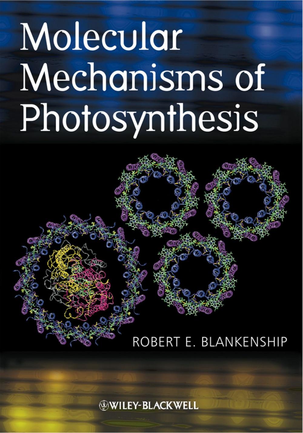 Big bigCover of Molecular Mechanisms of Photosynthesis