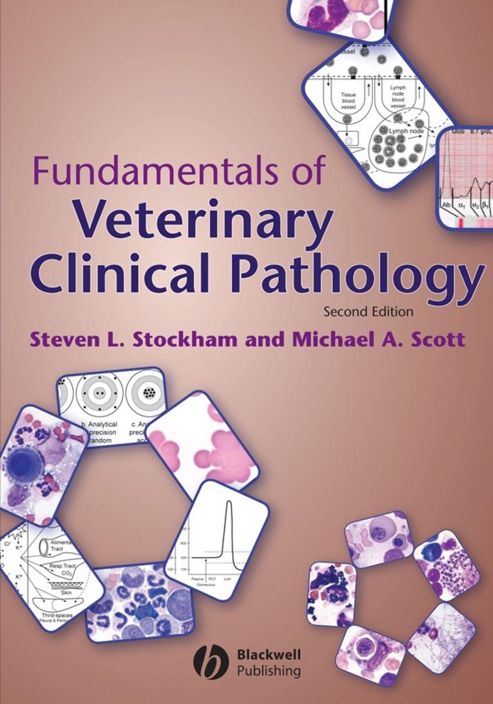 Big bigCover of Fundamentals of Veterinary Clinical Pathology