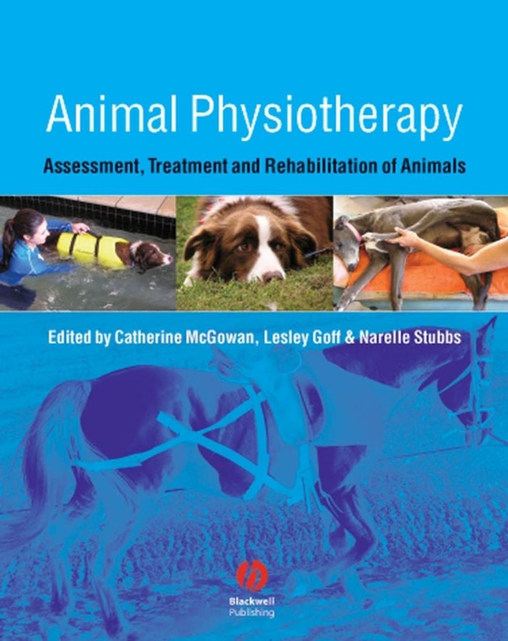 Big bigCover of Animal Physiotherapy