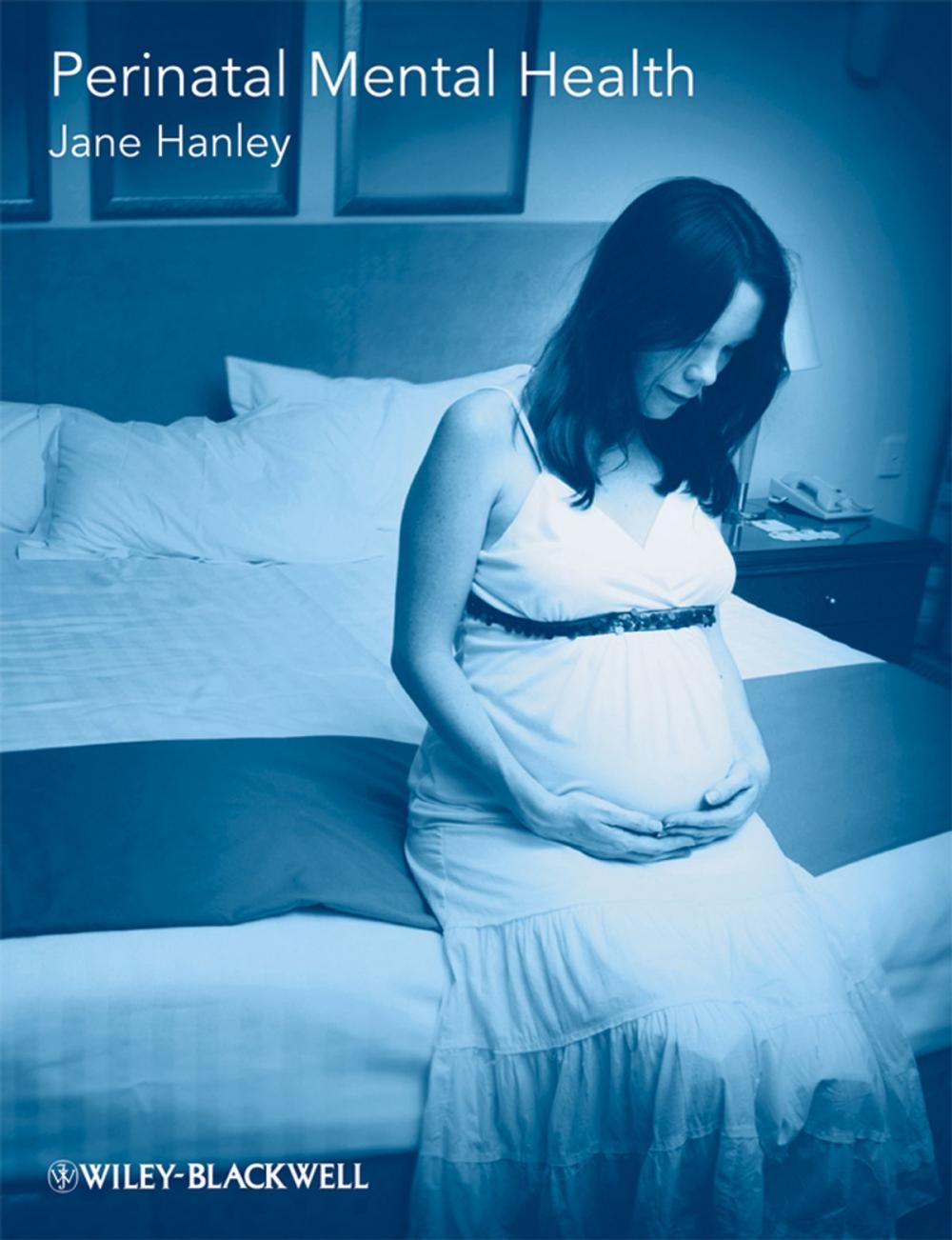 Big bigCover of Perinatal Mental Health