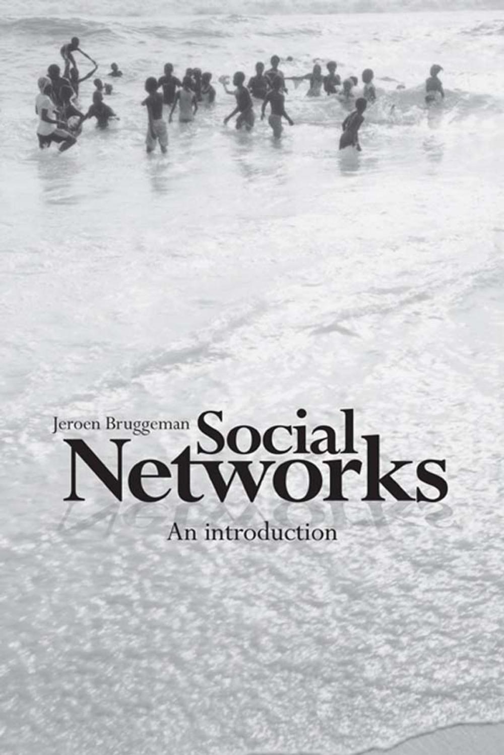 Big bigCover of Social Networks