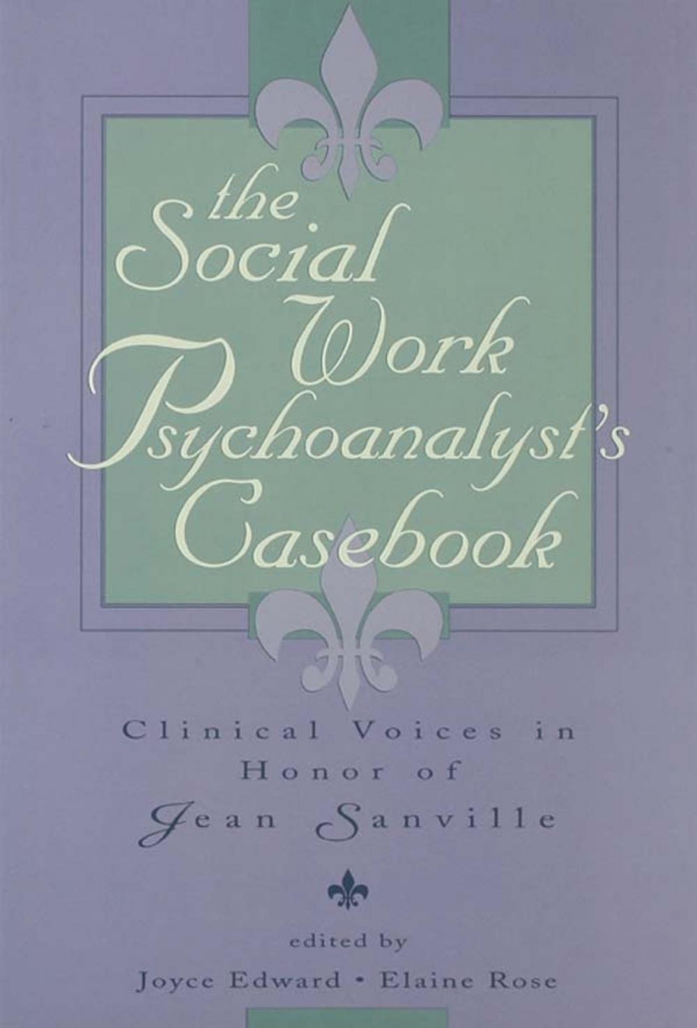 Big bigCover of The Social Work Psychoanalyst's Casebook