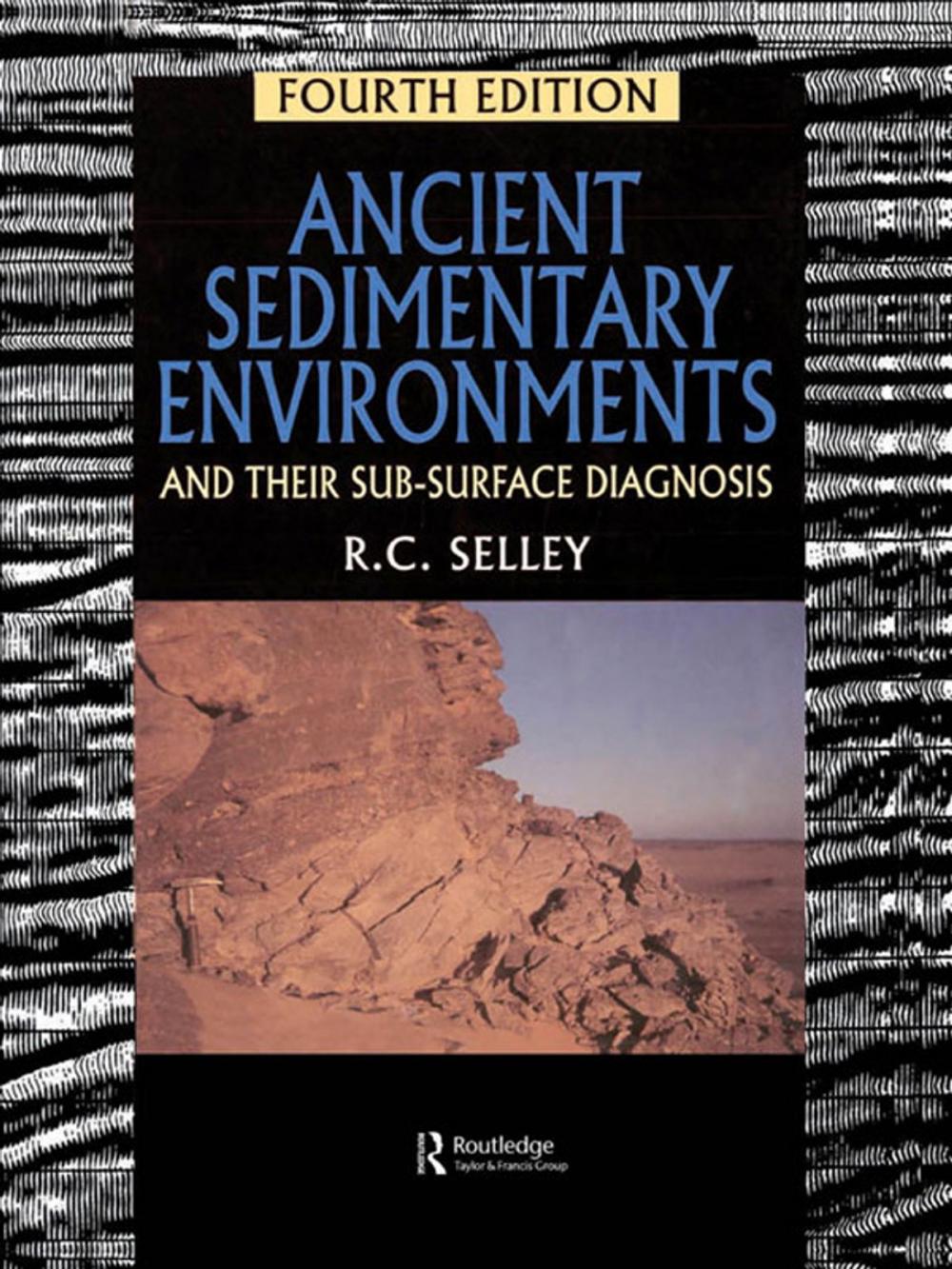 Big bigCover of Ancient Sedimentary Environments