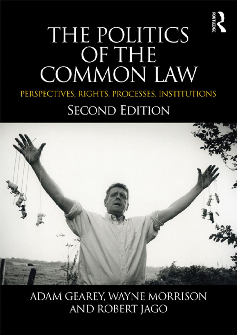 Big bigCover of The Politics of the Common Law