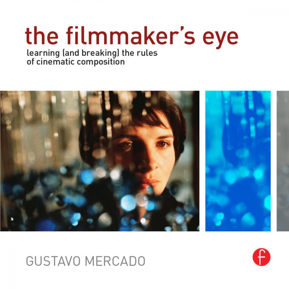 Big bigCover of The Filmmaker's Eye