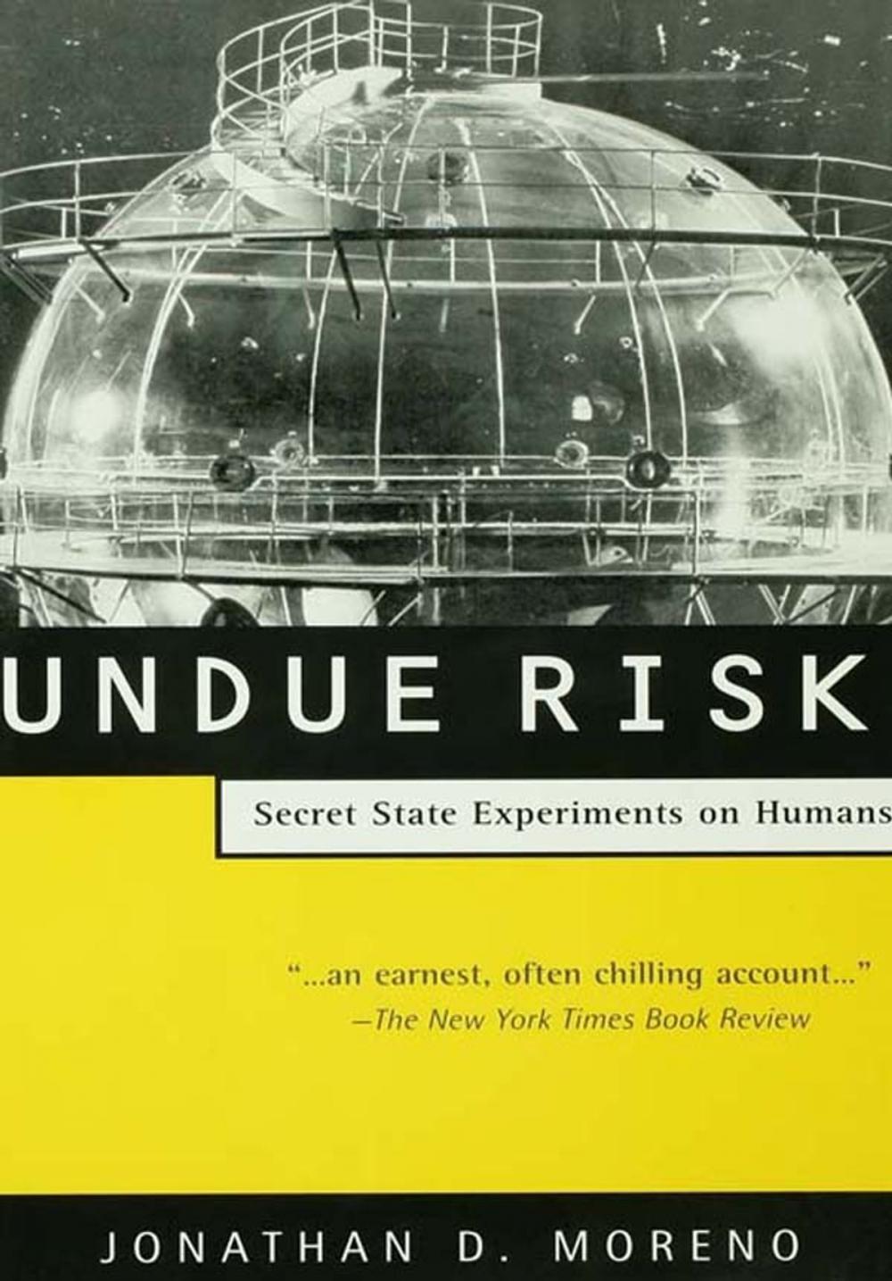 Big bigCover of Undue Risk