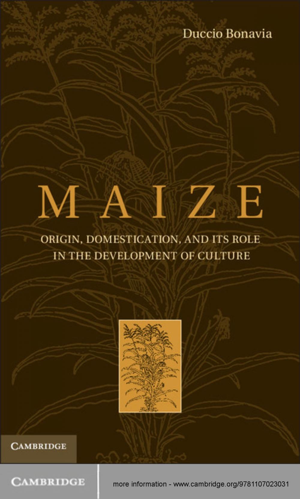 Big bigCover of Maize