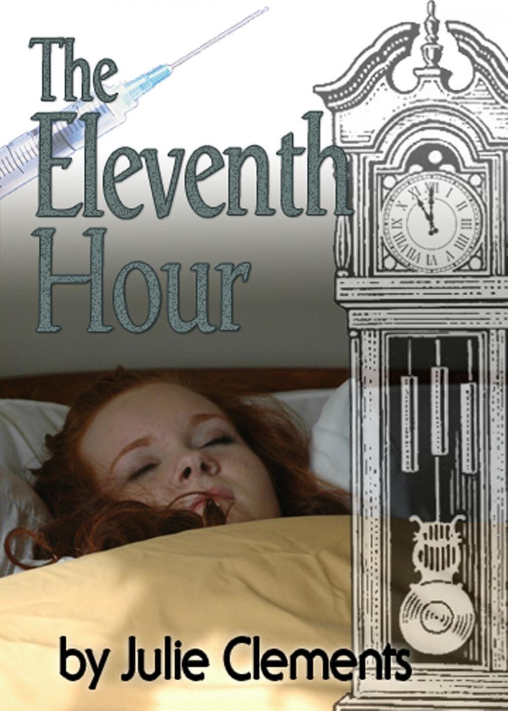 Big bigCover of The Eleventh Hour