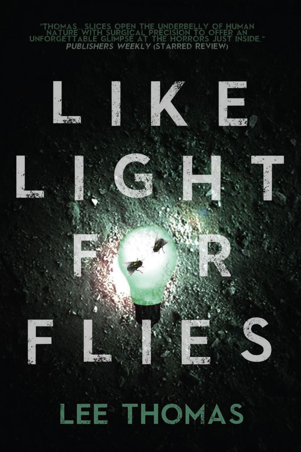 Big bigCover of Like Light for Flies