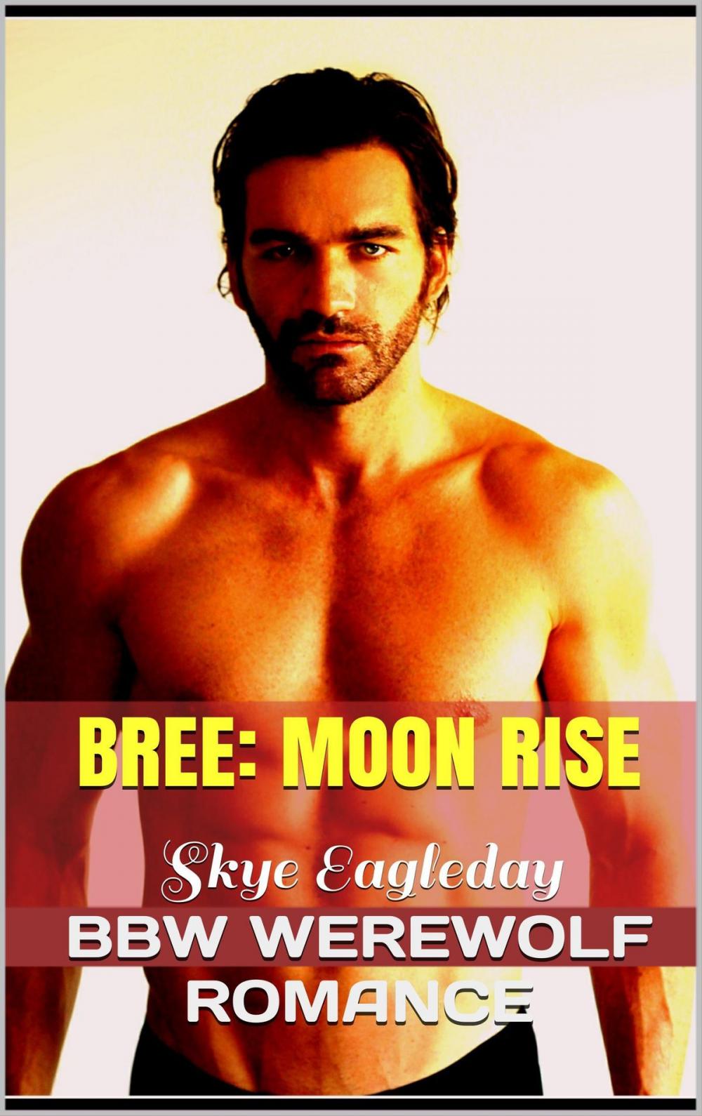 Big bigCover of Bree: Moon Rise BBW Supernatural Adult Romance