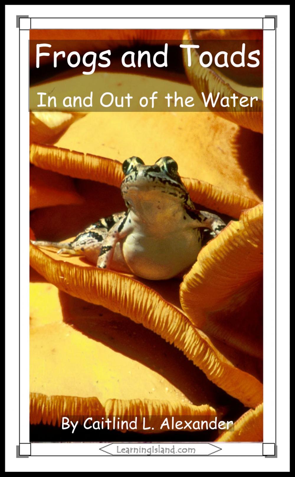 Big bigCover of Frogs and Toads: In and Out of the Water